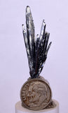 4.3cms STIBNITE CRYSTAL PERU Mineral Specimen Collector M247