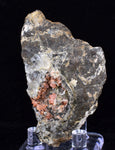 6.5cms RHODOCHROSITE CRYSTALS Peru Manganite 2000 Year Discovery Uchucchacua Mine Gemstone Collector Mineral Specimen R657