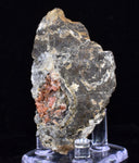 6.5cms RHODOCHROSITE CRYSTALS Peru Manganite 2000 Year Discovery Uchucchacua Mine Gemstone Collector Mineral Specimen R657