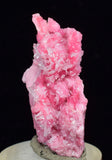 3.5cms PINK RHODONITE CRYSTALS Quartz Miniature Peru Bright Chiurucu Mine Mineral Specimen R660