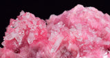 3.5cms PINK RHODONITE CRYSTALS Quartz Miniature Peru Bright Chiurucu Mine Mineral Specimen R660