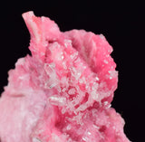 3.5cms PINK RHODONITE CRYSTALS Quartz Miniature Peru Bright Chiurucu Mine Mineral Specimen R660