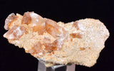 5.2cms LIMONITE in SELENITE CRYSTAL Collector Peru Mineral Specimen T430