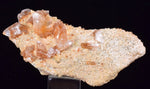5.2cms LIMONITE in SELENITE CRYSTAL Collector Peru Mineral Specimen T430