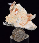 4.8cms LIMONITE in SELENITE CRYSTAL Collector Peru Mineral Specimen T432