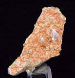 4.8cms LIMONITE in SELENITE CRYSTAL Collector Peru Mineral Specimen T433