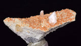 4.8cms LIMONITE in SELENITE CRYSTAL Collector Peru Mineral Specimen T433