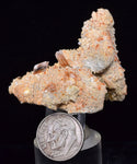 4.7cms LIMONITE in SELENITE CRYSTAL Collector Peru Mineral Specimen T434