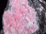 8cms RHODOCHROSITE ROSETTE PERU Pink Crystals Huanzala Mine Mineral R667