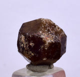 1.3cm GARNET GROSSULAR HESSONITE Dodecahedron Crystals Peur Mineral Specimen G250