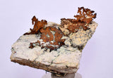 6.1cms NATIVE COPPER PERU Crystal Iron New Find Some Fine Iridescent Wire Cluster Mineral Specimen I218
