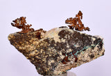 6.1cms NATIVE COPPER PERU Crystal Iron New Find Some Fine Iridescent Wire Cluster Mineral Specimen I218