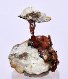 3.4cms NATIVE COPPER PERU Crystal Iron New Find Some Fine Iridescent Wire Cluster Mineral Specimen I219
