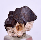 1.9cm ALABANDITE CRYSTALS  Peru Gem Sharp Bright Uchuchaccua Mine Mineral Specimen H335