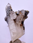 5.7cms GEM QUARTZ Natural Chlorite Included Phantom Crystal Peru Q379