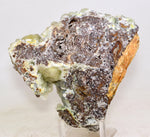15cms GEM SILICA CHRYSOCOLLA Druzy Quartz Stalactites Lily Mine Peru Mineral Specimen D270