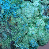16cms  QUARTZ CHRYSOCOLLA TENTADORA Mine Peru Grape Botryoidal Stalactite Crystals Rare Ajoite (?)Mineral Specimen Collectors C18