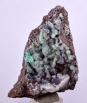 7.5cms GEM SILICA CHRYSOCOLLA Druzy Quartz Stalactites Lily Mine Peru Mineral Specimen D272