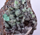 7.5cms GEM SILICA CHRYSOCOLLA Druzy Quartz Stalactites Lily Mine Peru Mineral Specimen D272