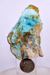 5.9cms GEM SILICA CHRYSOCOLLA Druzy Quartz Stalactites Lily Mine Peru Mineral Specimen D273