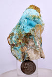 5.9cms GEM SILICA CHRYSOCOLLA Druzy Quartz Stalactites Lily Mine Peru Mineral Specimen D273