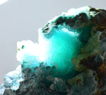 5.9cms GEM SILICA CHRYSOCOLLA Druzy Quartz Stalactites Lily Mine Peru Mineral Specimen D273