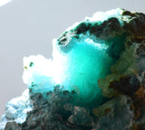 5.9cms GEM SILICA CHRYSOCOLLA Druzy Quartz Stalactites Lily Mine Peru Mineral Specimen D273