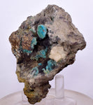 7.3cms GEM SILICA CHRYSOCOLLA Druzy Quartz Stalactites Peru Mineral Specimen D274