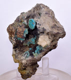 7.3cms GEM SILICA CHRYSOCOLLA Druzy Quartz Stalactites Peru Mineral Specimen D274