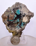 7.3cms GEM SILICA CHRYSOCOLLA Druzy Quartz Stalactites Peru Mineral Specimen D274
