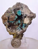 7.3cms GEM SILICA CHRYSOCOLLA Druzy Quartz Stalactites Peru Mineral Specimen D274