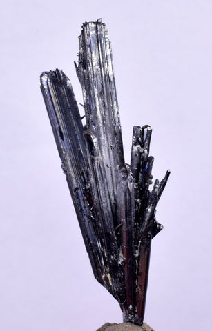 4.7cms STIBNITE CRYSTAL PERU Mineral Specimen Collector M245