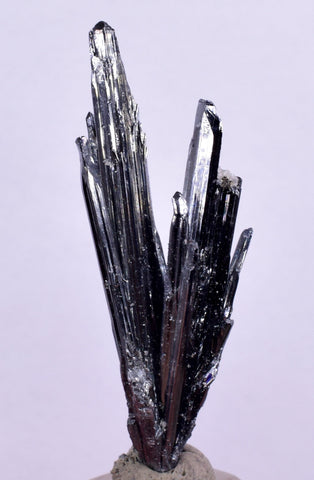 4.3cms STIBNITE CRYSTAL PERU Mineral Specimen Collector M247