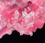 3.5cms PINK RHODONITE CRYSTALS Quartz Miniature Peru Bright Chiurucu Mine Mineral Specimen R660