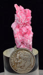 3.5cms PINK RHODONITE CRYSTALS Quartz Miniature Peru Bright Chiurucu Mine Mineral Specimen R660