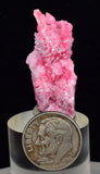 3.5cms PINK RHODONITE CRYSTALS Quartz Miniature Peru Bright Chiurucu Mine Mineral Specimen R660
