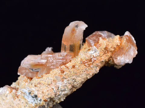 5.2cms LIMONITE in SELENITE CRYSTAL Collector Peru Mineral Specimen T430