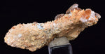 5.2cms LIMONITE in SELENITE CRYSTAL Collector Peru Mineral Specimen T430