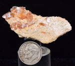 5.2cms LIMONITE in SELENITE CRYSTAL Collector Peru Mineral Specimen T430