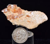 5.2cms LIMONITE in SELENITE CRYSTAL Collector Peru Mineral Specimen T430
