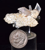 3.5cms LIMONITE in SELENITE CRYSTAL Collector Peru Mineral Specimen T431
