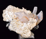 3.5cms LIMONITE in SELENITE CRYSTAL Collector Peru Mineral Specimen T431