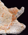 4.8cms LIMONITE in SELENITE CRYSTAL Collector Peru Mineral Specimen T432