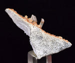 4.8cms LIMONITE in SELENITE CRYSTAL Collector Peru Mineral Specimen T433