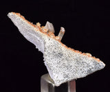 4.8cms LIMONITE in SELENITE CRYSTAL Collector Peru Mineral Specimen T433