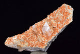 4.8cms LIMONITE in SELENITE CRYSTAL Collector Peru Mineral Specimen T433