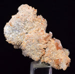 4.7cms LIMONITE in SELENITE CRYSTAL Collector Peru Mineral Specimen T434