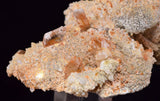 4.7cms LIMONITE in SELENITE CRYSTAL Collector Peru Mineral Specimen T434