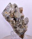 8.2cms GEM QUARTZ Natural Chlorite Included Phantom Crystal Peru Q377