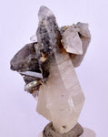 5.7cms GEM QUARTZ Natural Chlorite Included Phantom Crystal Peru Q379